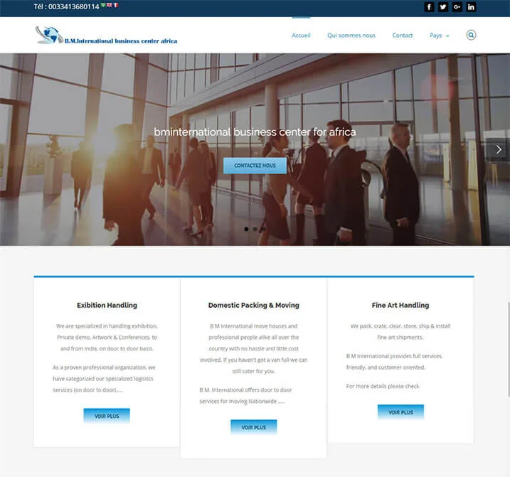 Website preview: BM International