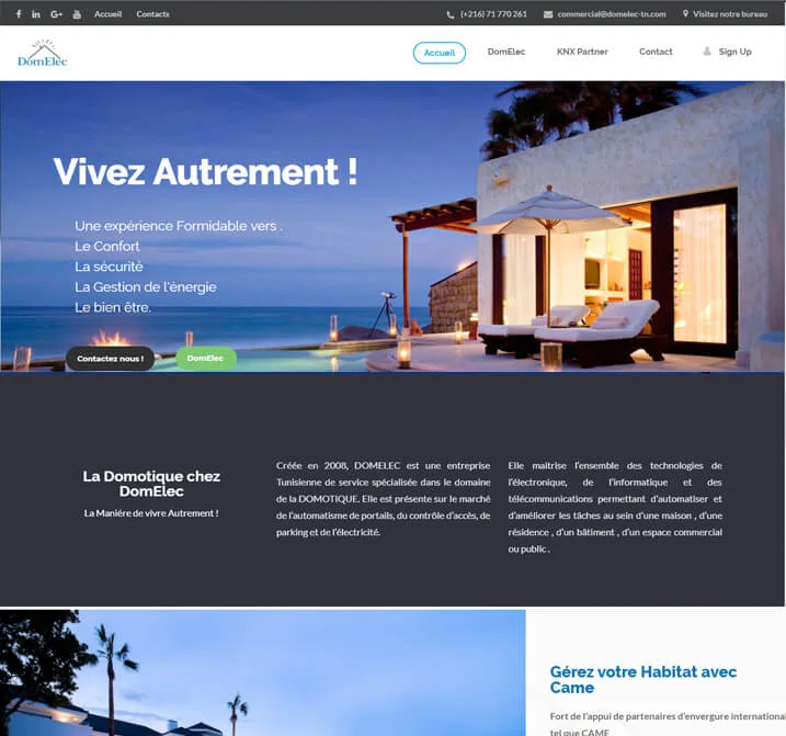 Website preview: Domelec